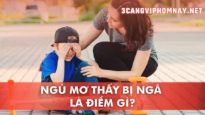 Ý Nghĩa Tâm Linh Của Giấc Ngủ Mơ Thấy Bị Ngã