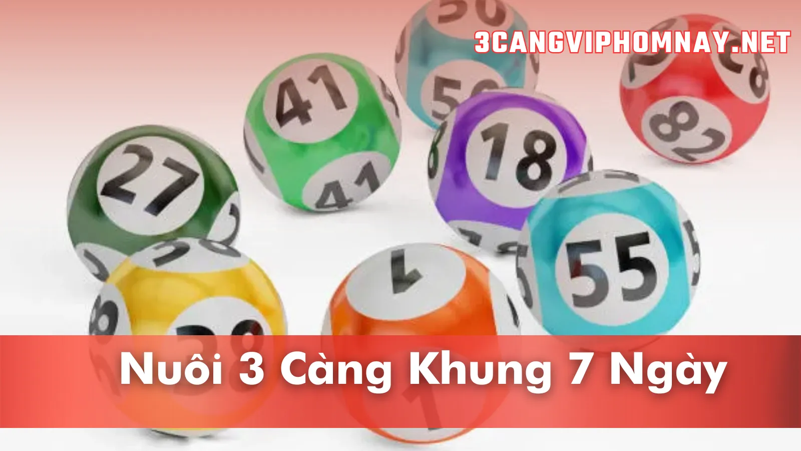 Thống kê nuôi 3 càng khung 7 ngày